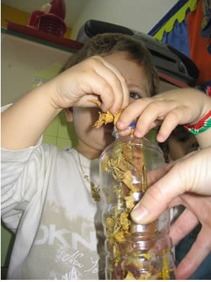 botella con hojas