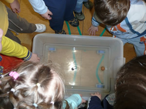 experimento 2