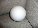 pelota