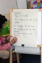 Conclusiones de la actividad