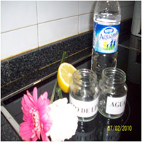 Experimentamos con las plantas