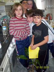 Componentes del equipo en el experimento con las plantas.