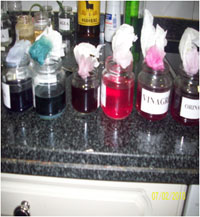 Resultados del experimento: Tintes  obtenidos con diferentes productos.