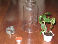 Materiales para el experimento.