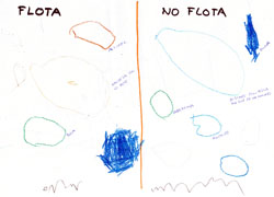 Dibujos de los alumnos