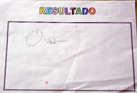 Resultado del experimento "flota o no flota"