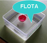 El objeto flota