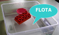 El objeto flota