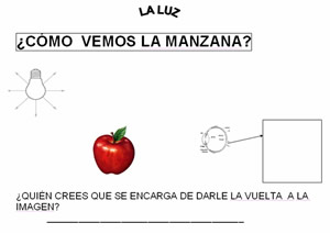 Ficha: ¿Cómo vemos la manzana?