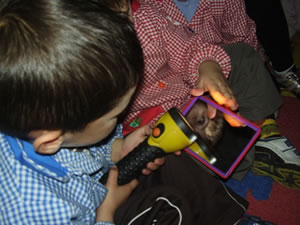 EXPERIMENTAMOS CON ESPEJOS