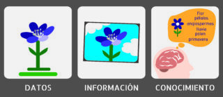 Esquema que ilustra las diferencias entre datos, información y conocimiento.